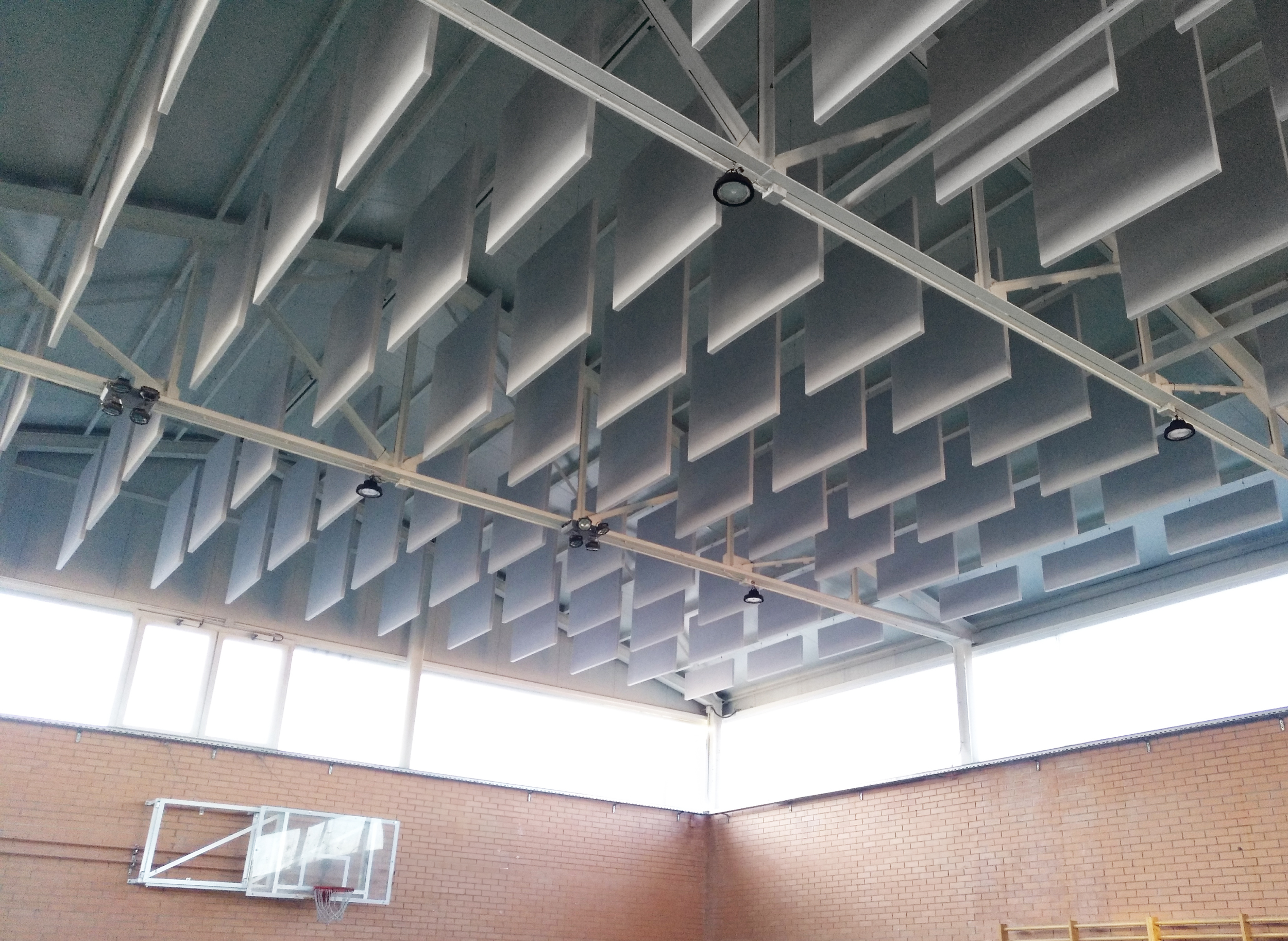 Proyecto con Noizen FOAM Rise