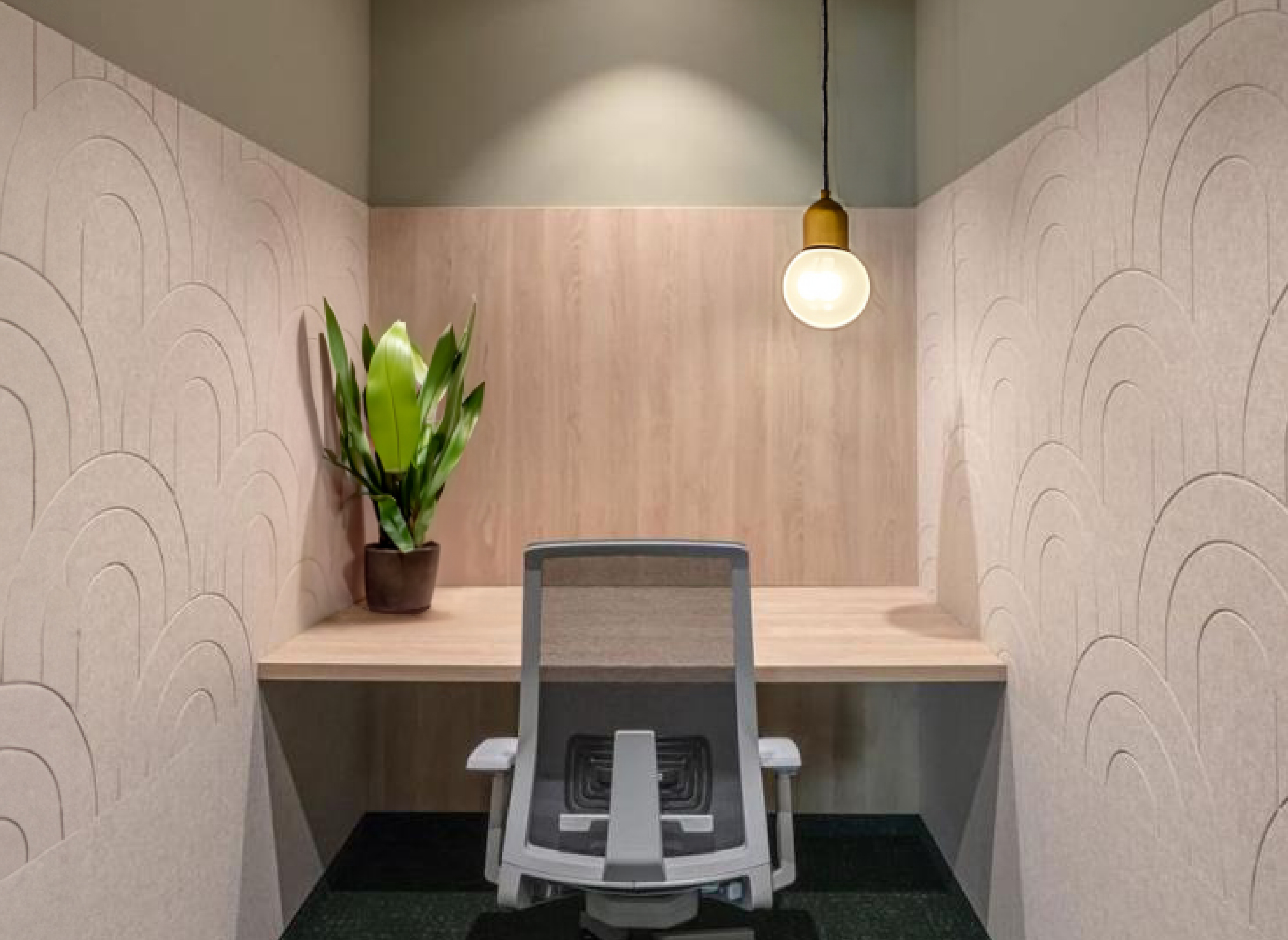 Proyecto con Noizen ECO Soft
